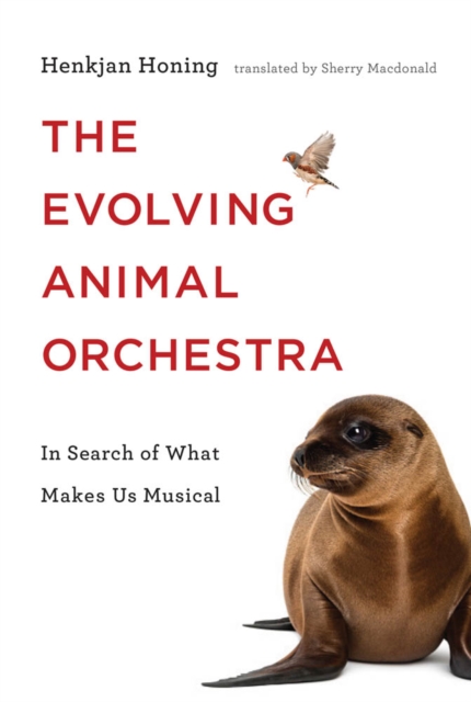 The Evolving Animal Orchestra : In Search of What Makes Us Musical, PDF eBook
