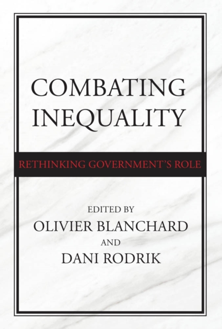 Combating Inequality : Rethinking Government's Role, PDF eBook