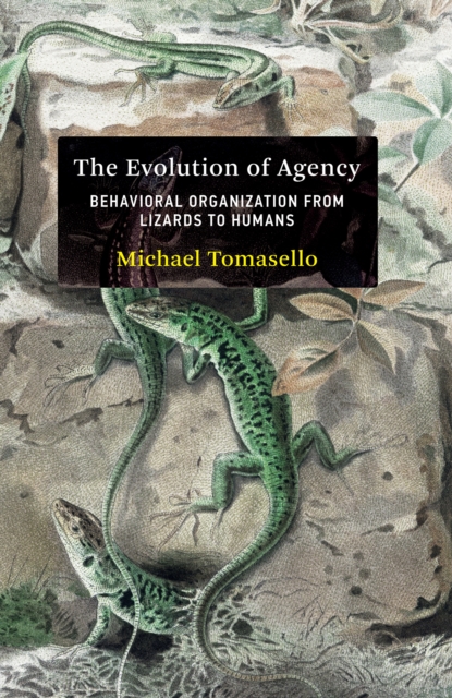 Evolution of Agency, EPUB eBook