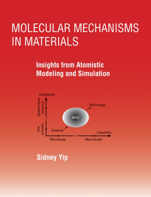 Molecular Mechanisms in Materials, EPUB eBook