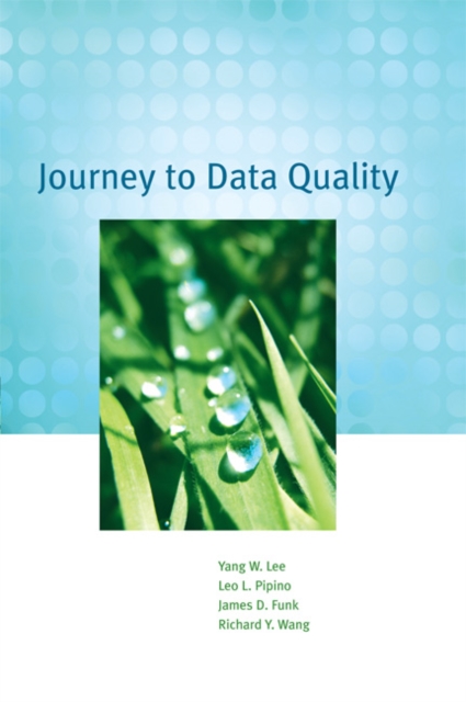 Journey to Data Quality, Paperback / softback Book