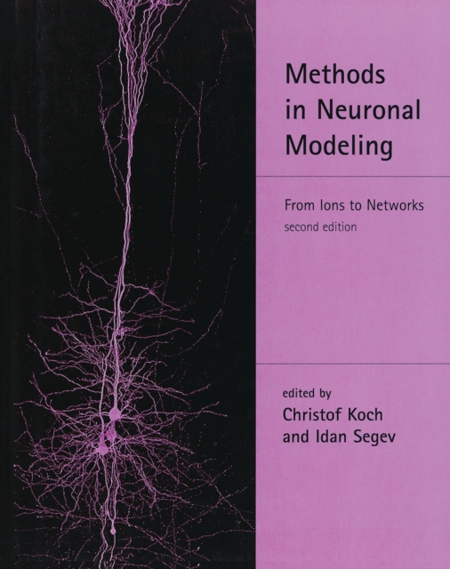 Methods in Neuronal Modeling : From Ions to Networks, Paperback Book