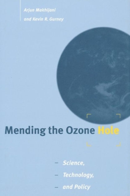 Mending the Ozone Hole : Science, Technology, and Policy, Paperback Book