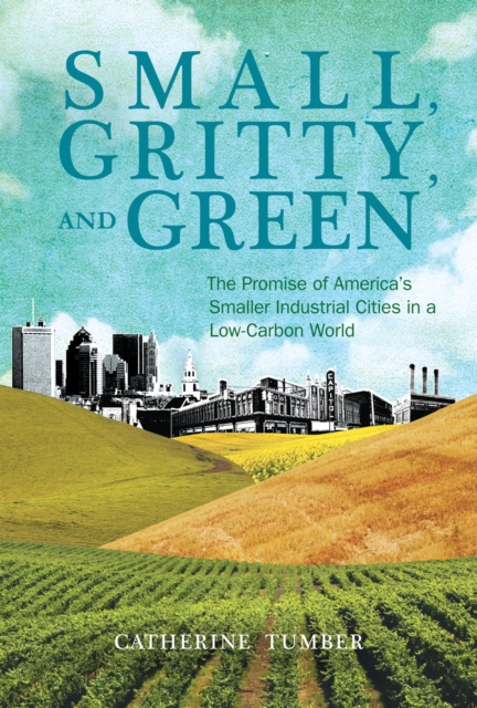 Small, Gritty, and Green : The Promise of America's Smaller Industrial Cities in a Low-Carbon World, Paperback / softback Book
