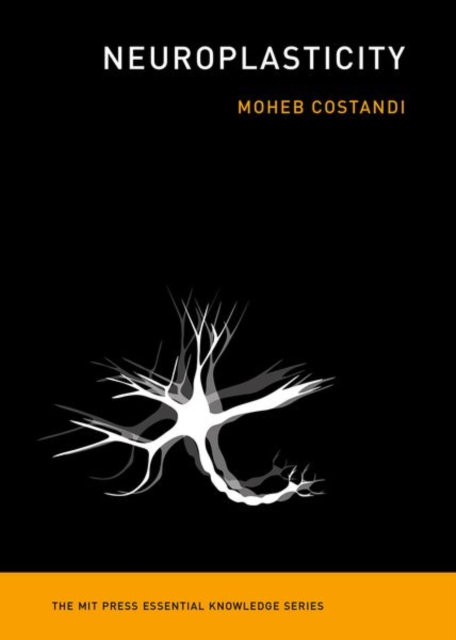 Neuroplasticity, Paperback / softback Book