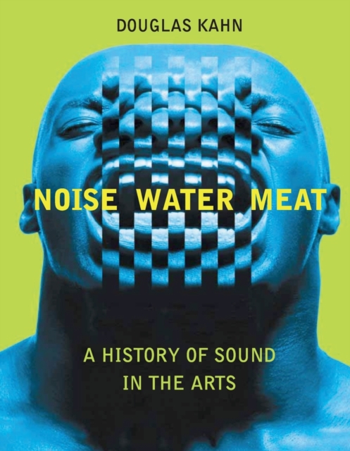 Noise, Water, Meat : A History of Sound in the Arts, Paperback / softback Book