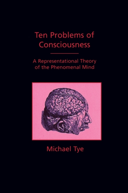 Ten Problems of Consciousness : A Representational Theory of the Phenomenal Mind, Paperback Book