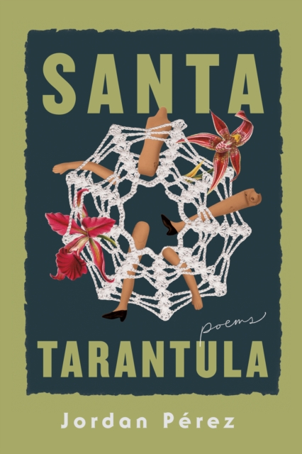 Santa Tarantula, Hardback Book
