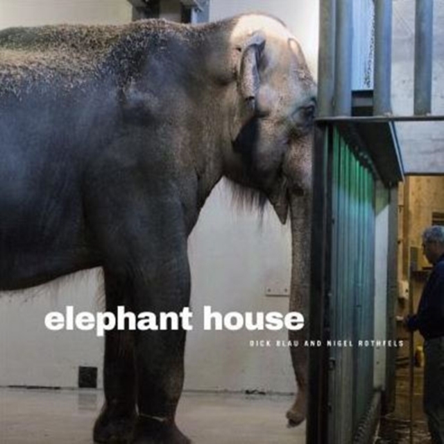 Elephant House, Hardback Book
