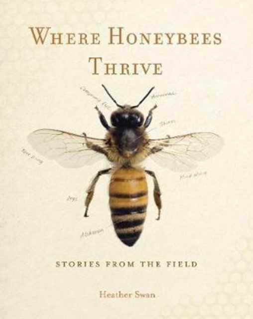Where Honeybees Thrive : Stories from the Field, Paperback / softback Book