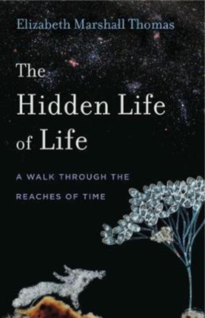 The Hidden Life of Life : A Walk through the Reaches of Time, Hardback Book