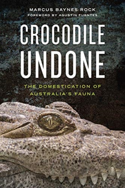 Crocodile Undone : The Domestication of Australia’s Fauna, Hardback Book