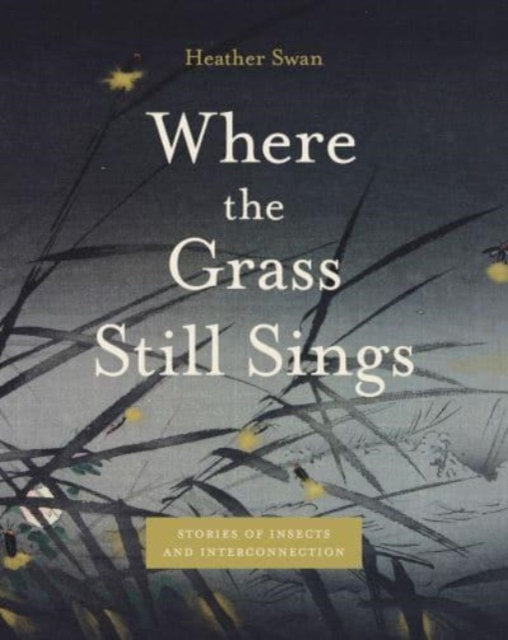 Where the Grass Still Sings : Stories of Insects and Interconnection, Paperback / softback Book