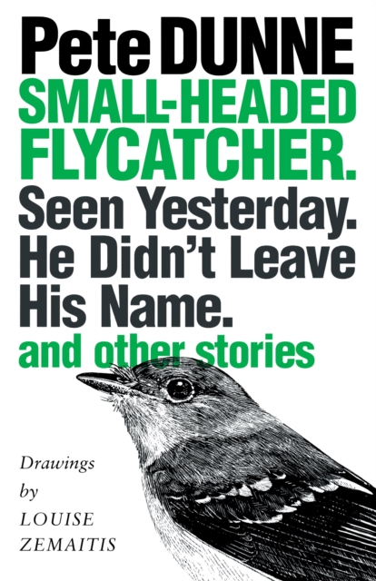 Small-headed Flycatcher. Seen Yesterday. He Didn’t Leave His Name. : and other stories, Paperback / softback Book