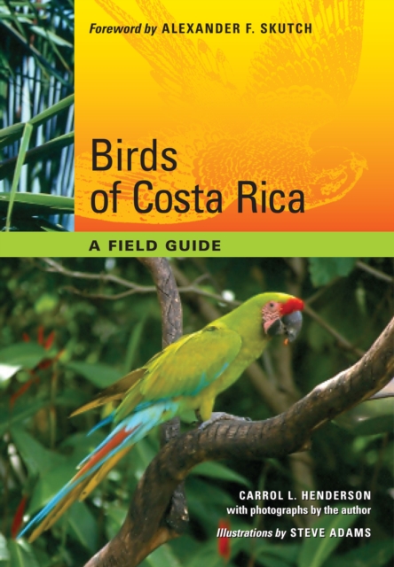 Birds of Costa Rica : A Field Guide, Paperback / softback Book