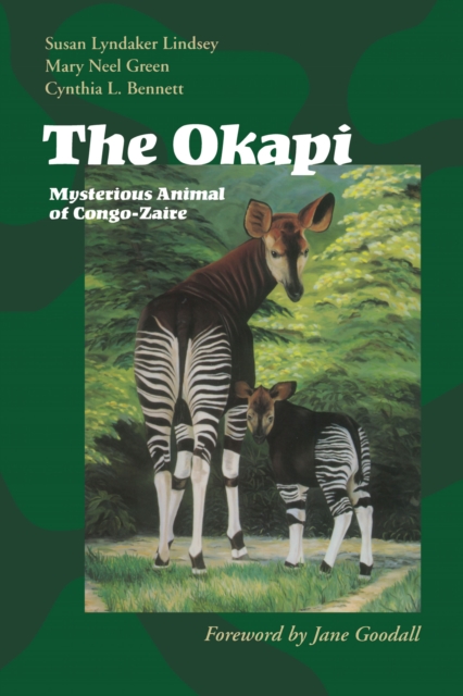 The Okapi : Mysterious Animal of Congo-Zaire, Paperback / softback Book