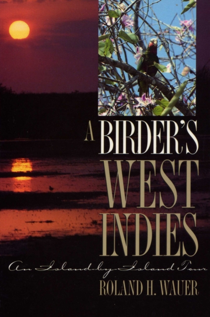 A Birder’s West Indies : An Island-by-Island Tour, Paperback / softback Book