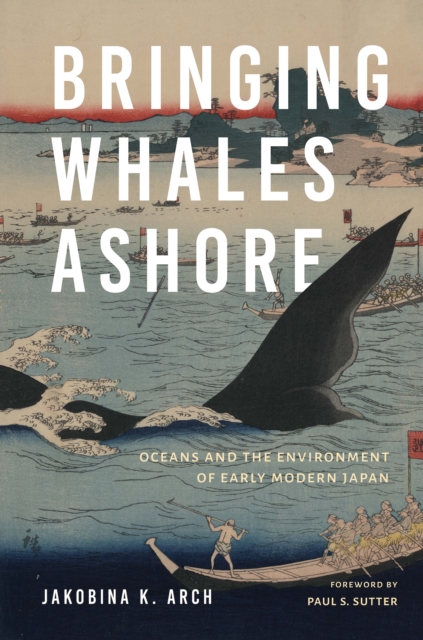 Bringing Whales Ashore : Oceans and the Environment of Early Modern Japan, Paperback / softback Book