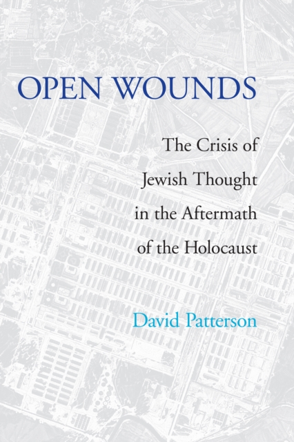 Open Wounds : The Crisis of Jewish Thought in the Aftermath of the Holocaust, PDF eBook