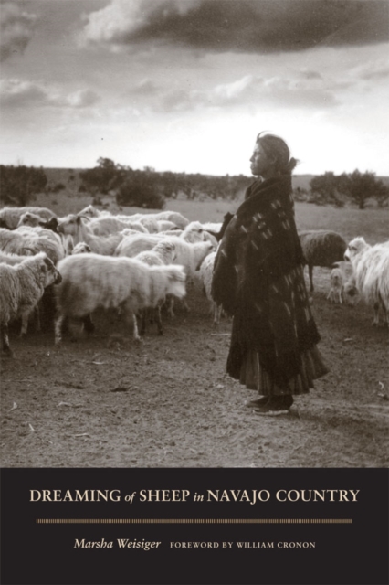 Dreaming of Sheep in Navajo Country, Hardback Book