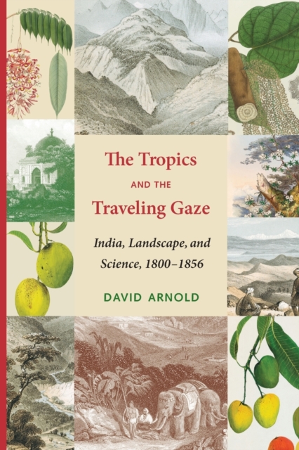 The Tropics and the Traveling Gaze : India, Landscape, and Science, 1800-1856, Paperback / softback Book