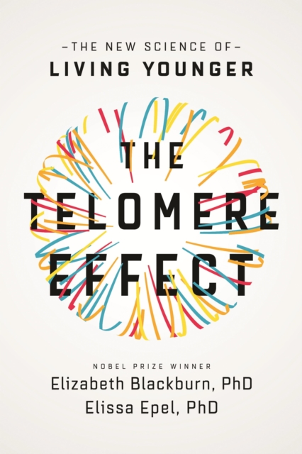 The Telomere Effect : A Revolutionary Approach to Living Younger, Healthier, Longer, EPUB eBook