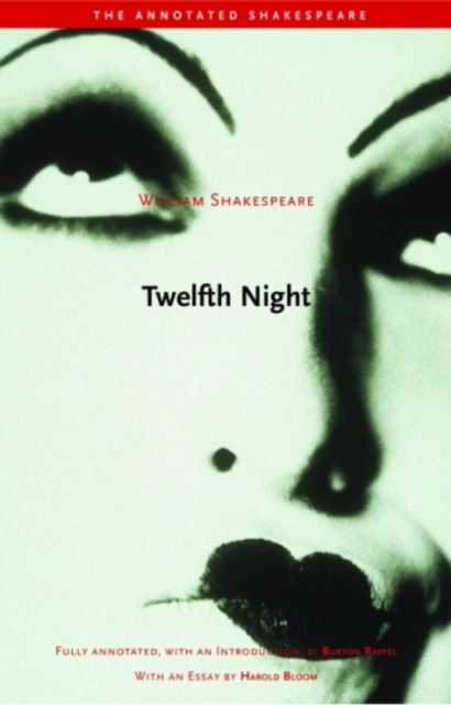 Twelfth Night : or, What You Will, PDF eBook