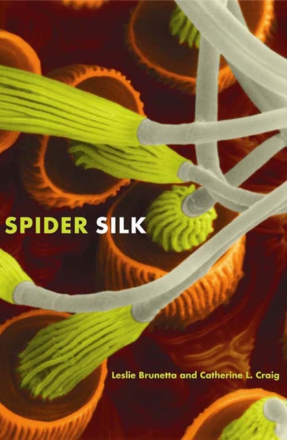 Spider Silk : Evolution and 400 Million Years of Spinning, Waiting, Snagging, and Mating, EPUB eBook