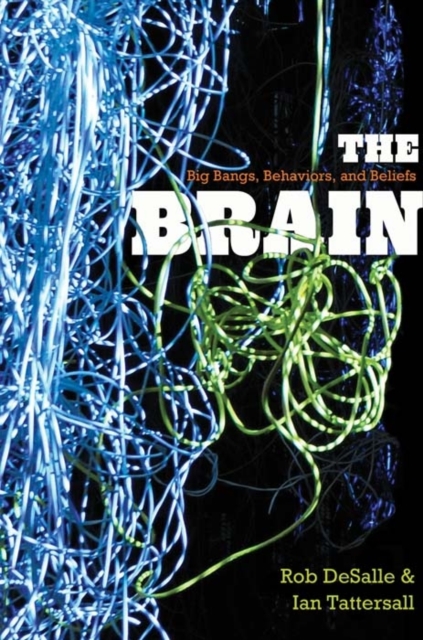 The Brain : Big Bangs, Behaviors, and Beliefs, Hardback Book