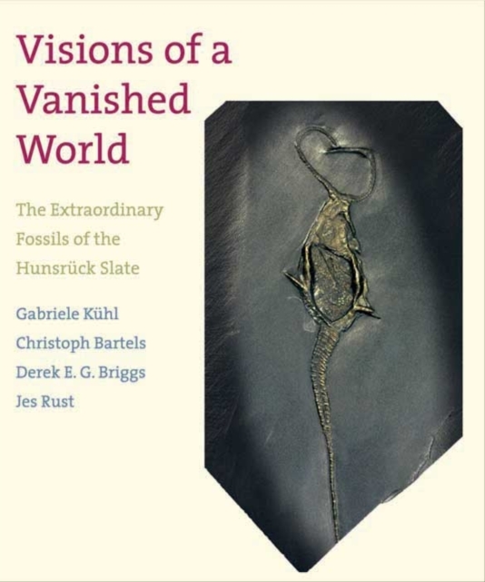 Visions of a Vanished World : The Extraordinary Fossils of the Hunsruck Slate, Hardback Book
