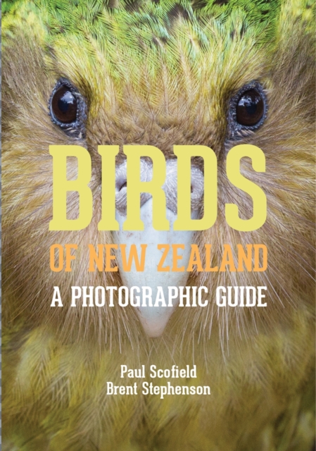 Birds of New Zealand : A Photographic Guide, Paperback / softback Book