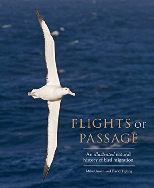Flights of Passage : An Illustrated Natural History of Bird Migration, Hardback Book