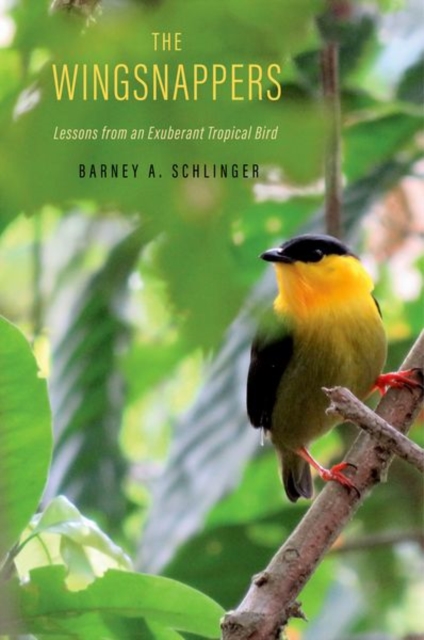The Wingsnappers : Lessons from an Exuberant Tropical Bird, Hardback Book