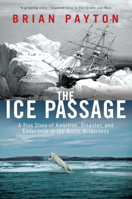 Ice Passage, EPUB eBook