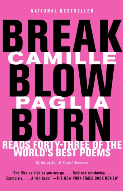 Break, Blow, Burn, EPUB eBook