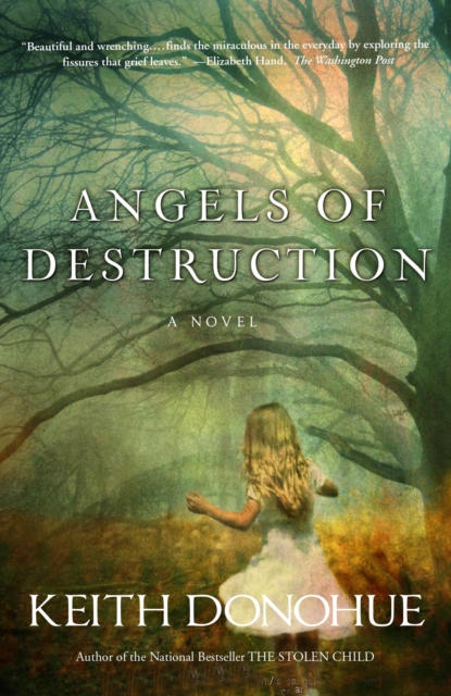Angels of Destruction, EPUB eBook
