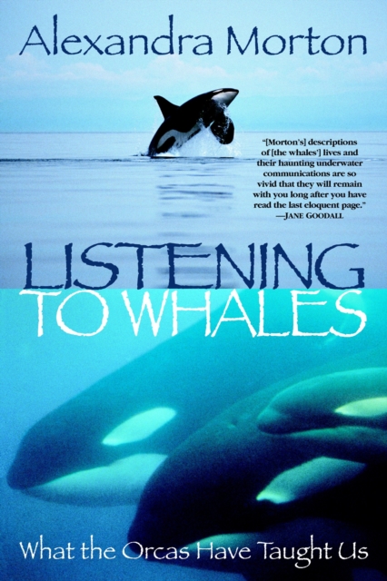 Listening to Whales, EPUB eBook