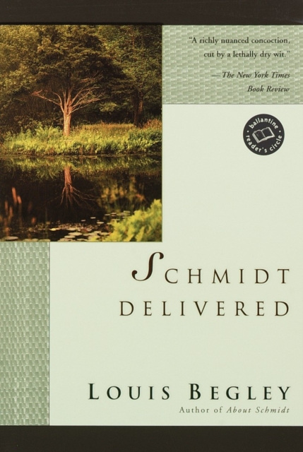 Schmidt Delivered, EPUB eBook