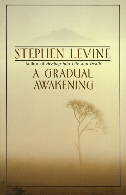 Gradual Awakening, EPUB eBook