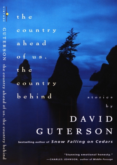 Country Ahead of Us, The Country Behind, EPUB eBook