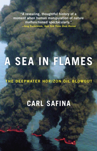 A Sea in Flames : The Deepwater Horizon Oil Blowout, Paperback / softback Book