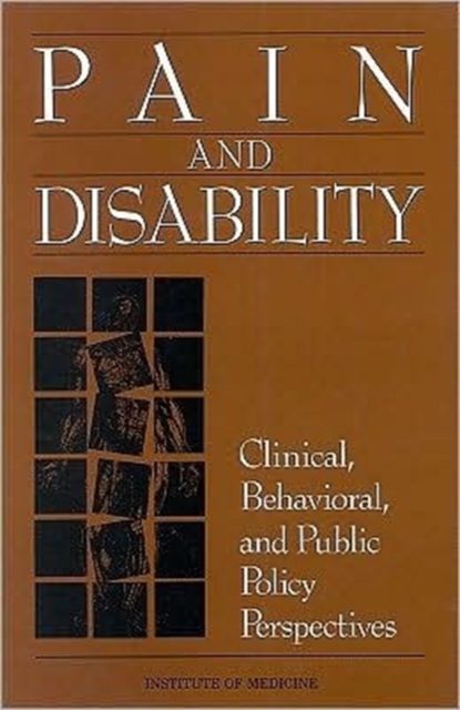 Pain and Disability : Clinical, Behavioral, and Public Policy Perspectives, Paperback / softback Book