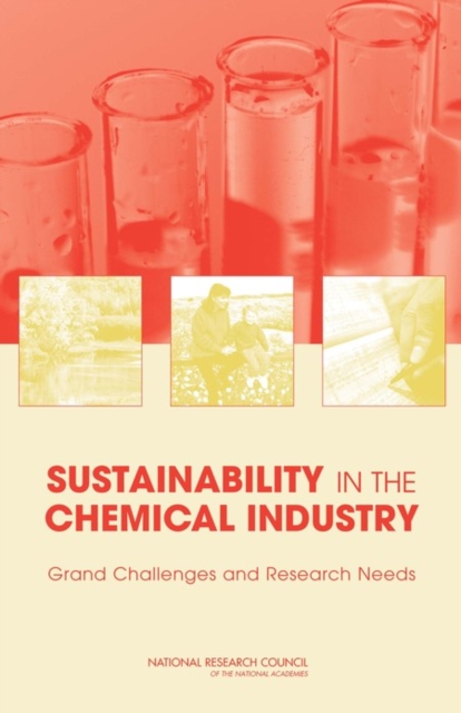 Sustainability in the Chemical Industry : Grand Challenges and Research Needs, Paperback / softback Book