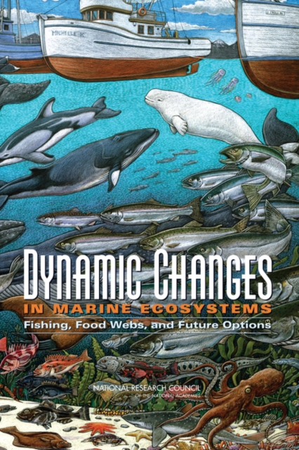 Dynamic Changes in Marine Ecosystems : Fishing, Food Webs, and Future Options, Paperback / softback Book