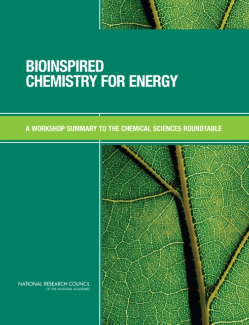 Bioinspired Chemistry for Energy : A Workshop Summary to the Chemical Sciences Roundtable, Paperback / softback Book
