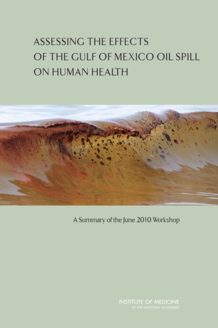 Assessing the Effects of the Gulf of Mexico Oil Spill on Human Health : A Summary of the June 2010 Workshop, Paperback / softback Book