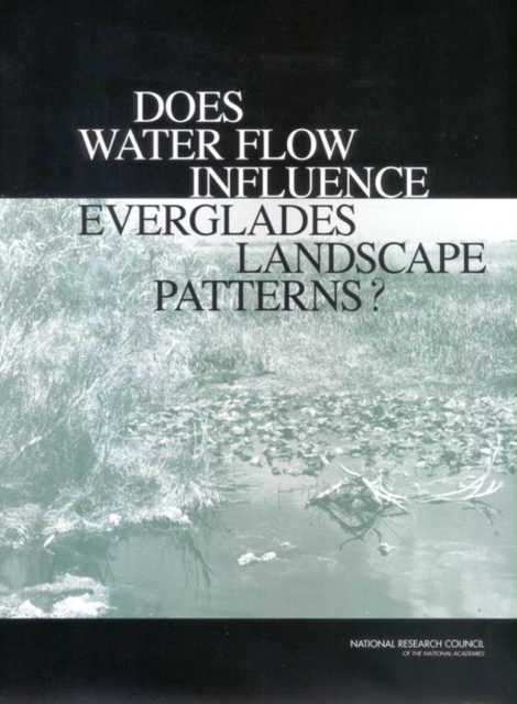 Does Water Flow Influence Everglades Landscape Patterns?, EPUB eBook