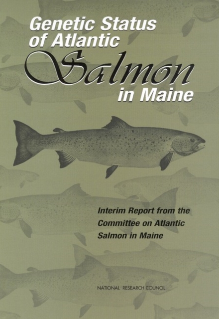 Genetic Status of Atlantic Salmon in Maine : Interim Report from the Committee on Atlantic Salmon in Maine, EPUB eBook