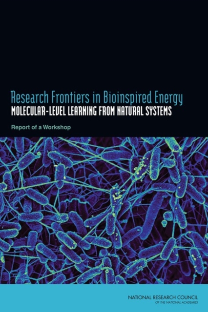 Research Frontiers in Bioinspired Energy : Molecular-Level Learning from Natural Systems: Report of a Workshop, PDF eBook
