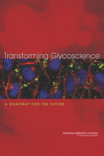 Transforming Glycoscience : A Roadmap for the Future, Paperback / softback Book